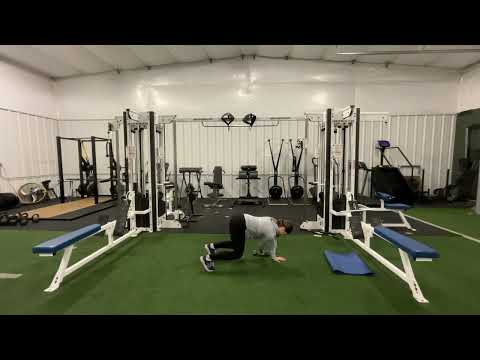 Dumbbell Beast Pull Through