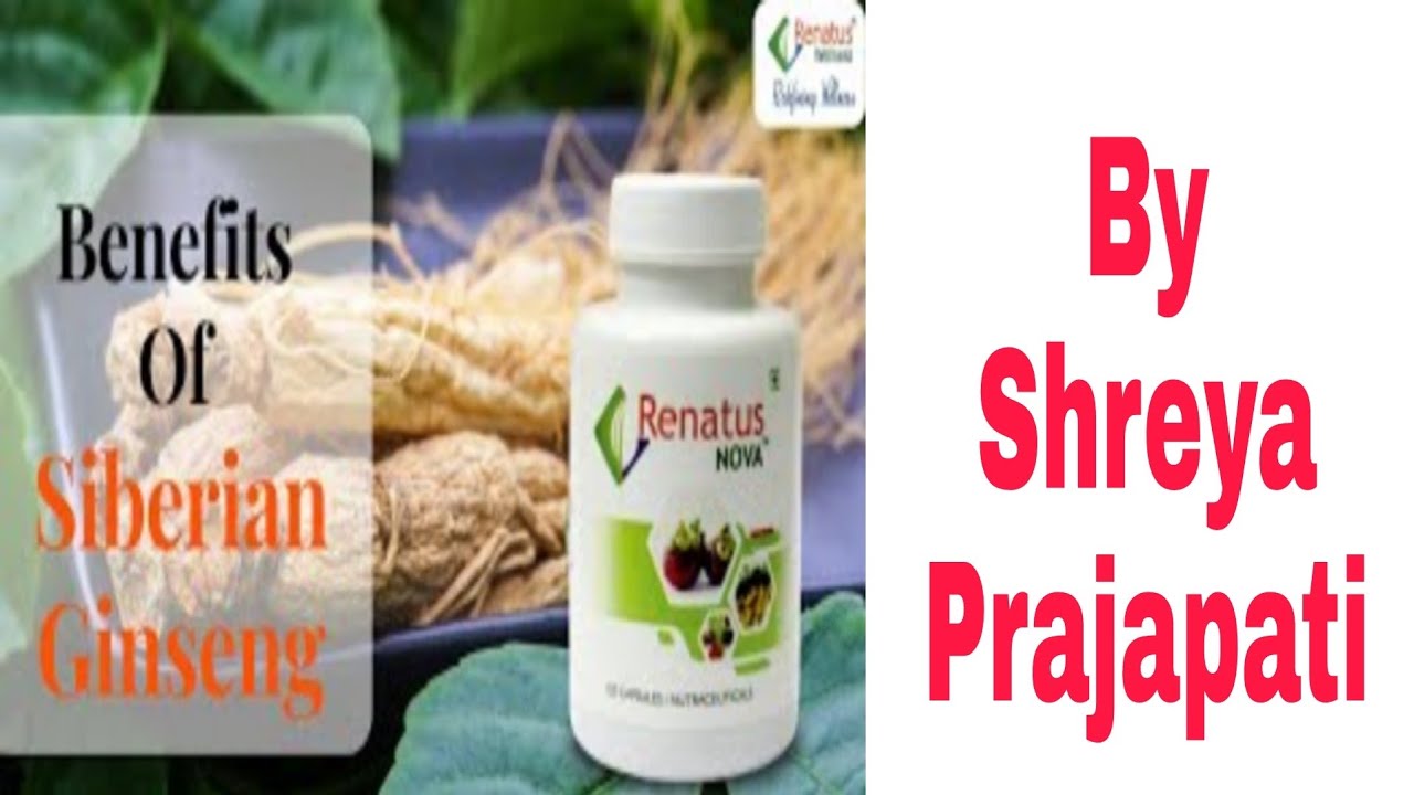 Siberian Ginseng benefits in hindi By Shreya Prajapati 7014961324 YouTube
