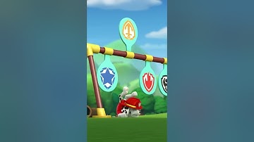 The Ultimate Puppy Obstacle Course Race! 🐶🏁