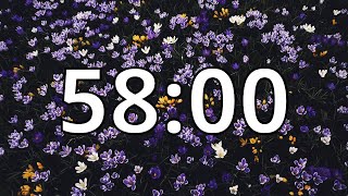 58 Minutes Timer with Music | Spring Timer