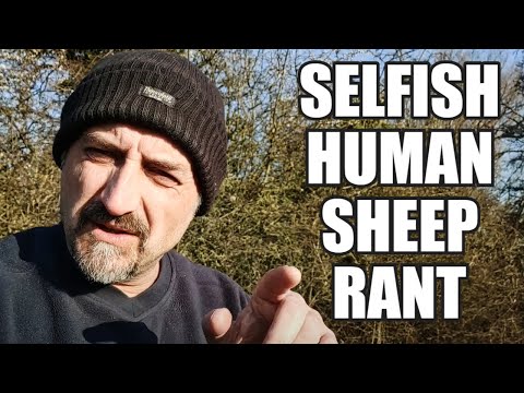 Too Many SELFISH Humans | The Selfish Human Sheep Rant #vanlife