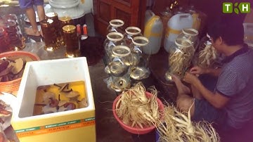cách ngâm rượu sâm hàn quốc làm quà biếu tết cao cấp