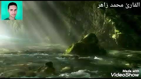 تلاوة عطرة من القرآن الكريم بصوت القارئ محمد زاهر 🌺