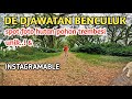 Masuk ke hutan..! DE DJAWATAN BENCULUK