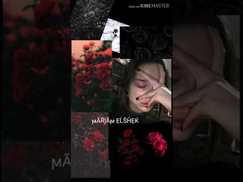 الومك ليه حزين حالات واتس عمرو دياب