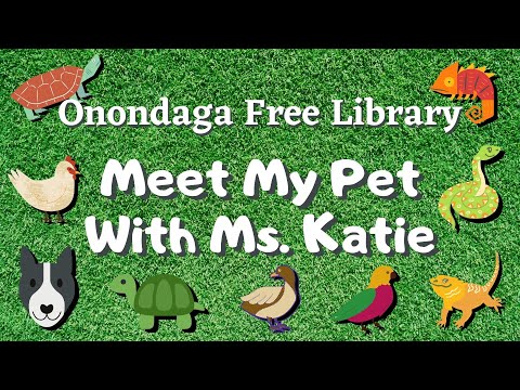 OFL Meet My Pet With Ms. Katie - Lemon and Aggie the Tortoises!