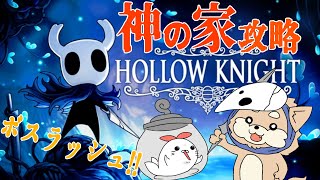 【HOLLOW KNIGHT】ボスラッシュ神の家攻略【しば目線】