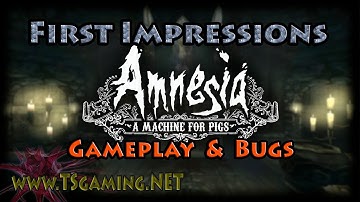 Amnesia: A Machine for Pigs - Gameplay Bugs Impressions