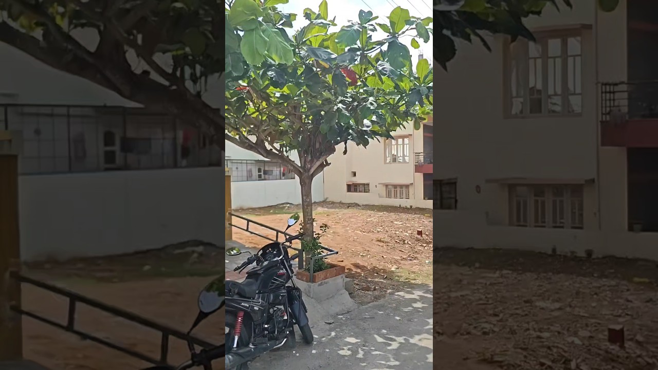 NORTH EAST CORNER SITE FOR SALE.