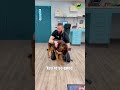 Viral vet has an aggressive patient