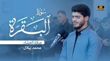 تلاوة جميلة من سورة البقرة | صلاة العشاء | القارئ الكوردي (محمد بلال)