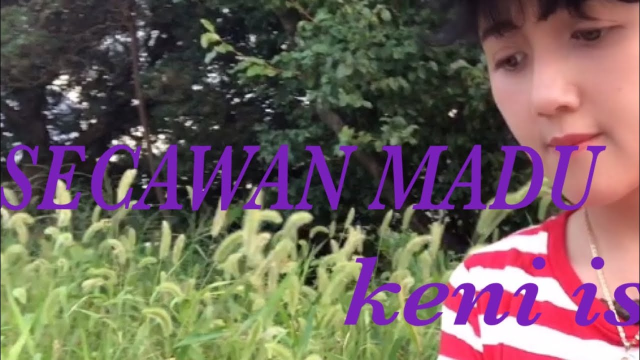 ⁣secawan madu cover by keni ishida