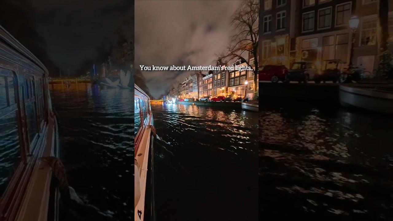 You Know Amsterdam’s Red Lights… But What Are These in Rotterdam?