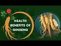 10 amazing ginseng benefits for health  health benefits of ginseng  ginseng health benefits