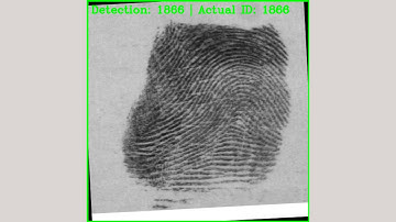 FWDNXT Inference Engine demo: fingerprint recognition