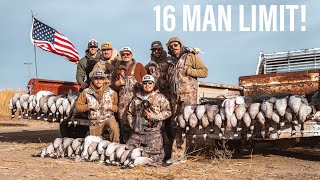 INSANE West Texas Goose Hunting!