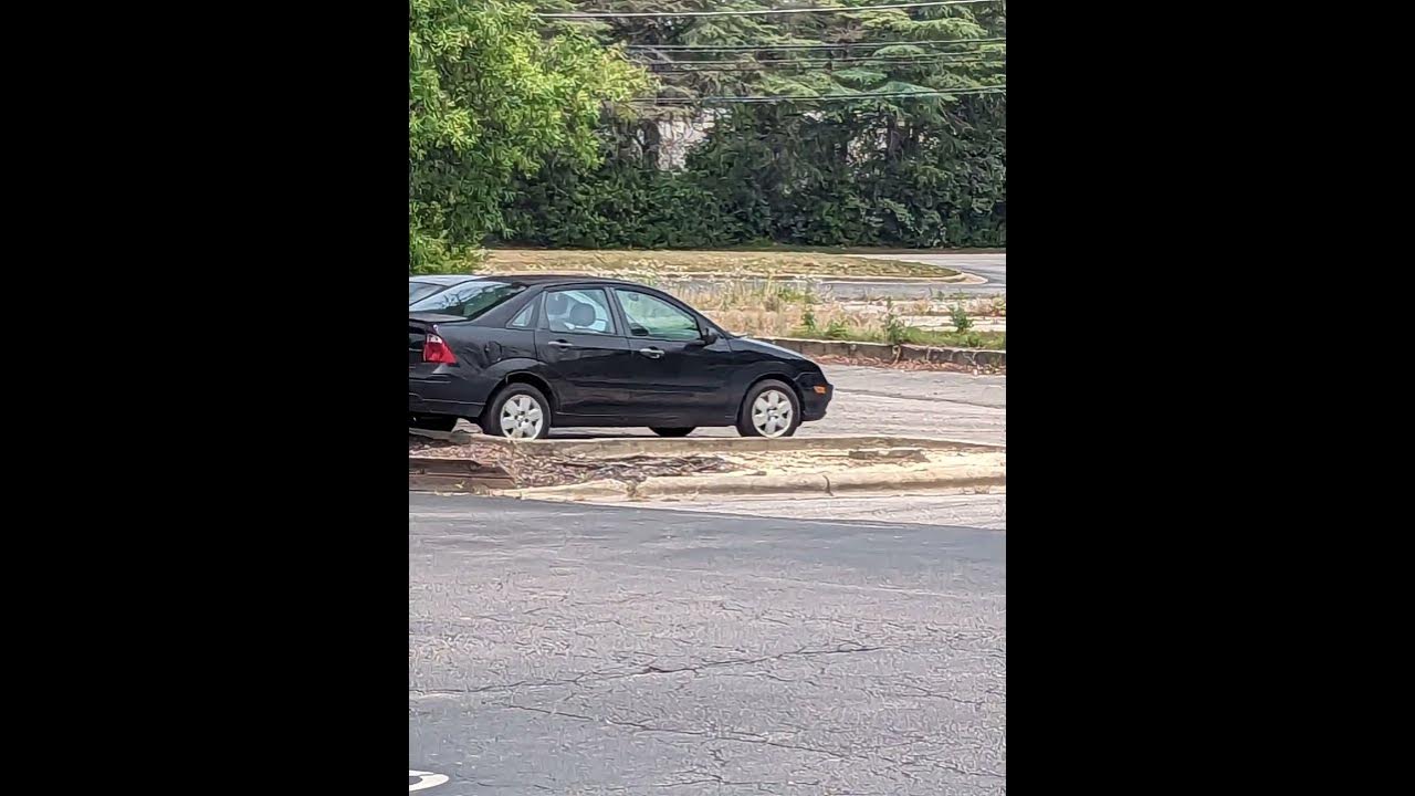 FORD FOCUSES COLLECTED TO DATE - YouTube