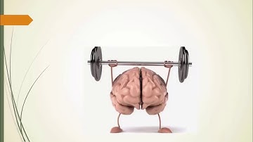 Exercícios JPA - Prof. Rodrigo Macedo