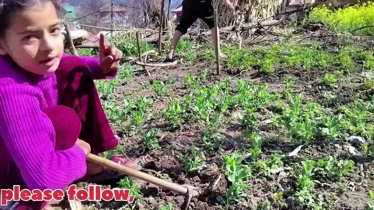 21 February 2026 bachu na key kam ma mari madat