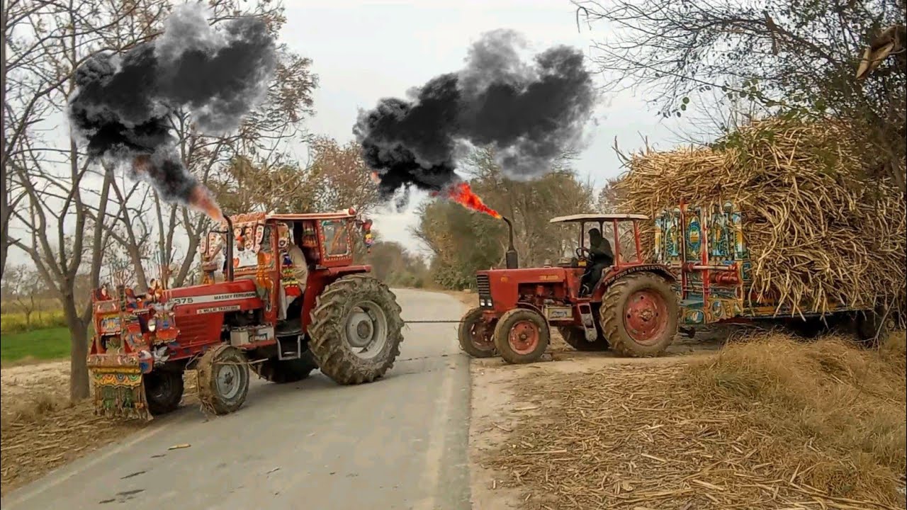 Powerful Tractors Mf375 & Belarus 510 Pulling Heavy Loaded Trolley 🔥 || Tractor Trolley Video 2026