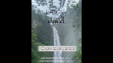 ما تيسَّر من سورة الأنبياء. بصوت عيدروس بن عبدالله المعمري. #انشر_تؤجر #اكسبلور #قرآن #ياسر_الدوسري