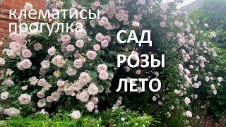 САД С ВЕСНЫ ДО ОСЕНИ  .Часть 2. РОСКОШНЫЕ РОЗЫ.  АЖУРНЫЕ КЛЕМАТИСЫ.  САД В ИЮНЕ .