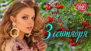 3 Сентября Сборник Песен О Любви Wlv Эти Песни Ищут Все Russian Music Hits Russische Musik