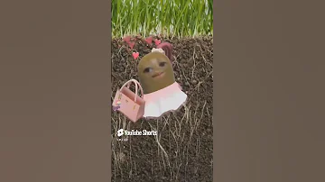 اختك لما تيجي تصحيك ترند Comedy 