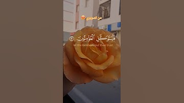 #ماهر_المعيقلي #سورة_التوبة #القرآن_الكريم #تيك_توك #سورة_الكهف #يوم_الجمعة #اكسبلور #duet #دويتو