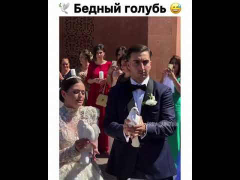 Невеста напугала голубя | Свадьба Оска и Карины | Армянская свадьба | Карина Каспарянц Оск Маркарян