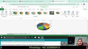 Excel 3A and 3B Simulation Exam | Excel 3A and 3B | @PearsonSolutions512