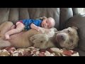 Dad Defends Letting His 1-Year-Old Son Nap and Cuddle With Huge Pit Bull