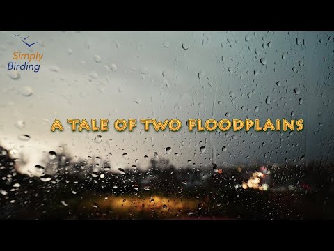 The Birding Diaries S1 E3 A Tale Of Two Floodplains