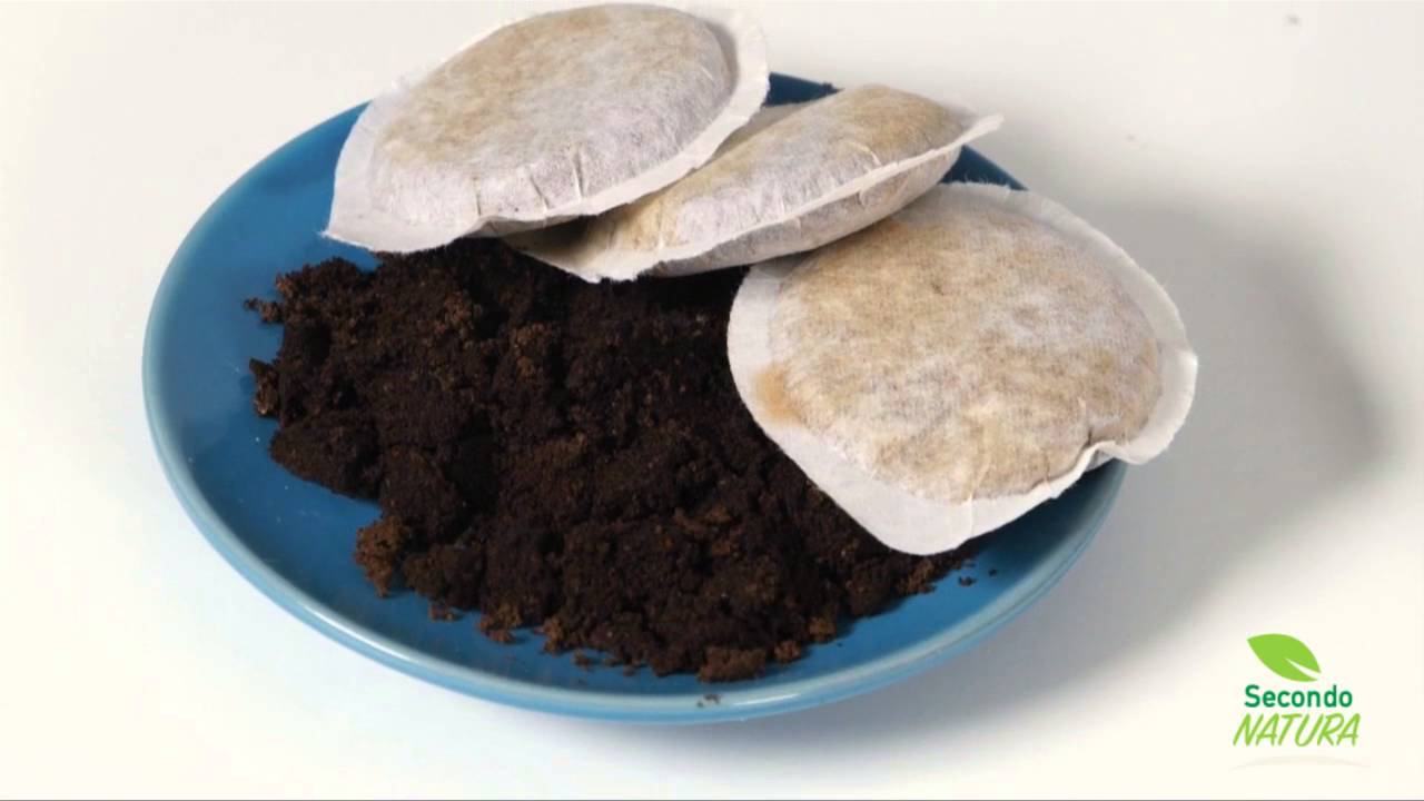 Quali rifiuti vanno nella raccolta differenziata dell'umido?