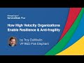ITIL 4 High-velocity IT: How High Velocity Organizations Enable Resilience & Anti-fragility