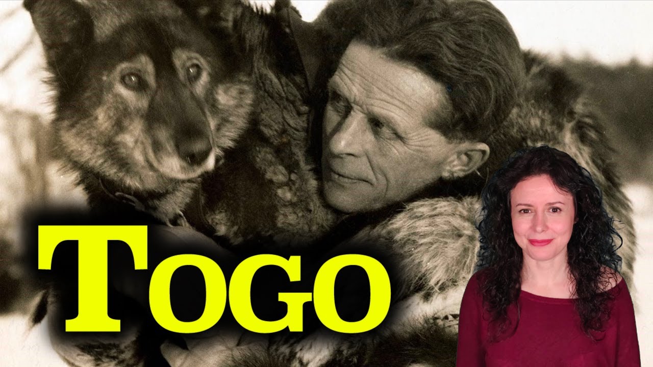 TOGO | La historia REAL de Seppala, Togo, Balto y la Carrera del Suero |  Alaska - YouTube