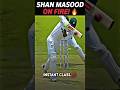 Elegant Strokes by Captain Shan Masood 🔥 #cricketshorts #cricketedits #pakistancricket #cricketlover