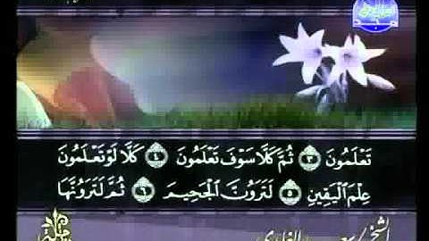 سعد الغامدي - سورة التكاثر