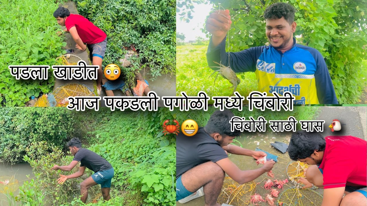 crabs-marathi-fishing-vlog