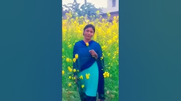 tujhe dekha to ye jaana sanam #shorts #viral #shortvideo