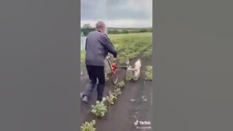 гениальное изобретение по сбору колорадских жуков - лайфхах - самодельное - своими руками лол прикол