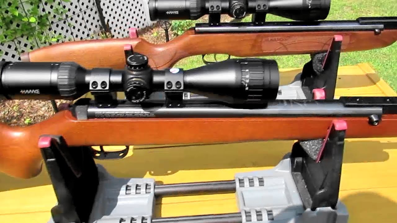 Sunday Plinking with a Diana 34 and a Weihrauch HW50K