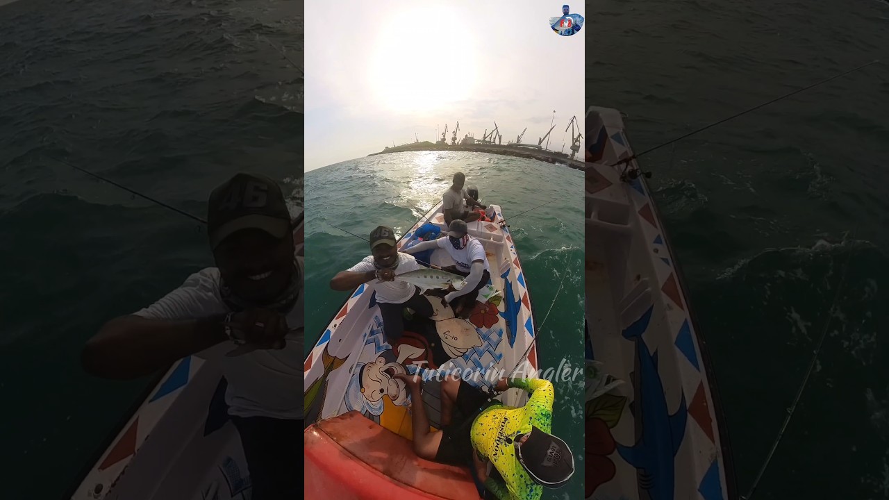 Tuticorin Angler // 🫢Caught queen Fish by Angler Guna 💯