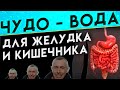 Целебная Вода! 70 Минералов в Стакане! Чудо - Вода Для Желудка и Кишечника