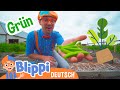 Blippi im Gewächshaus 🌱 Blippi Deutsch | Abenteuer und Videos für Kinder