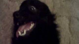 Midnight_2-02-26-10.wmv