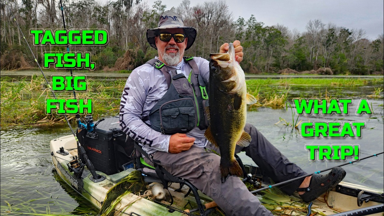 Tagged Fish and BIG Fish! Great Trip!!!