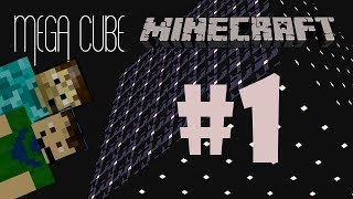 Minecraft: Mega Cube | 729 Cubes (1)