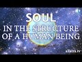 Soul in the structure of a human being from the book allatra