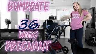 Bumpdate - 36 Weeks Pregnant